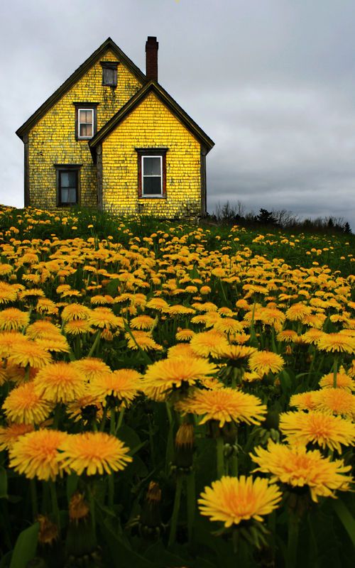 Garden Download Wallpapers