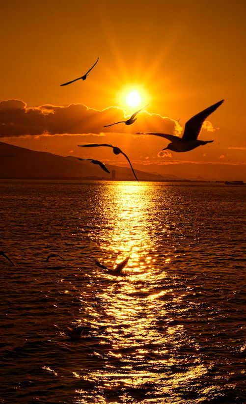 Sunset Download Wallpapers