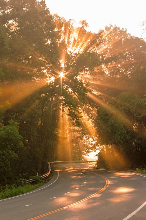Road Download Wallpapers