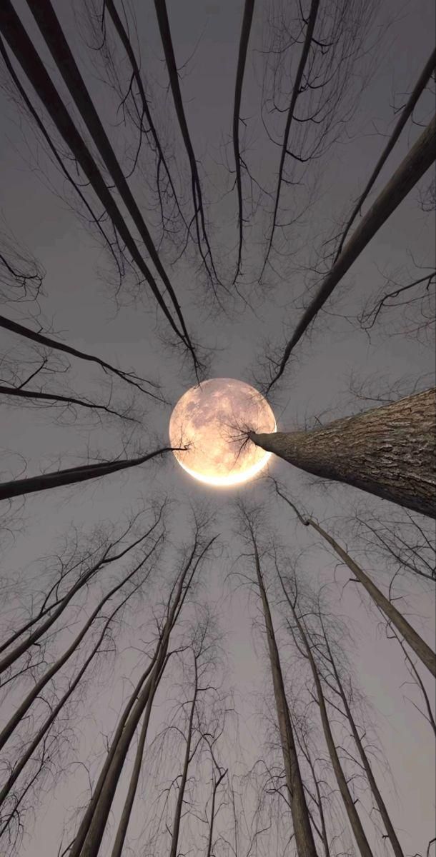 Moon Download Wallpapers