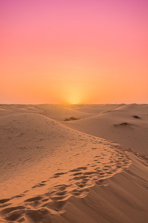 Desert Download Wallpapers