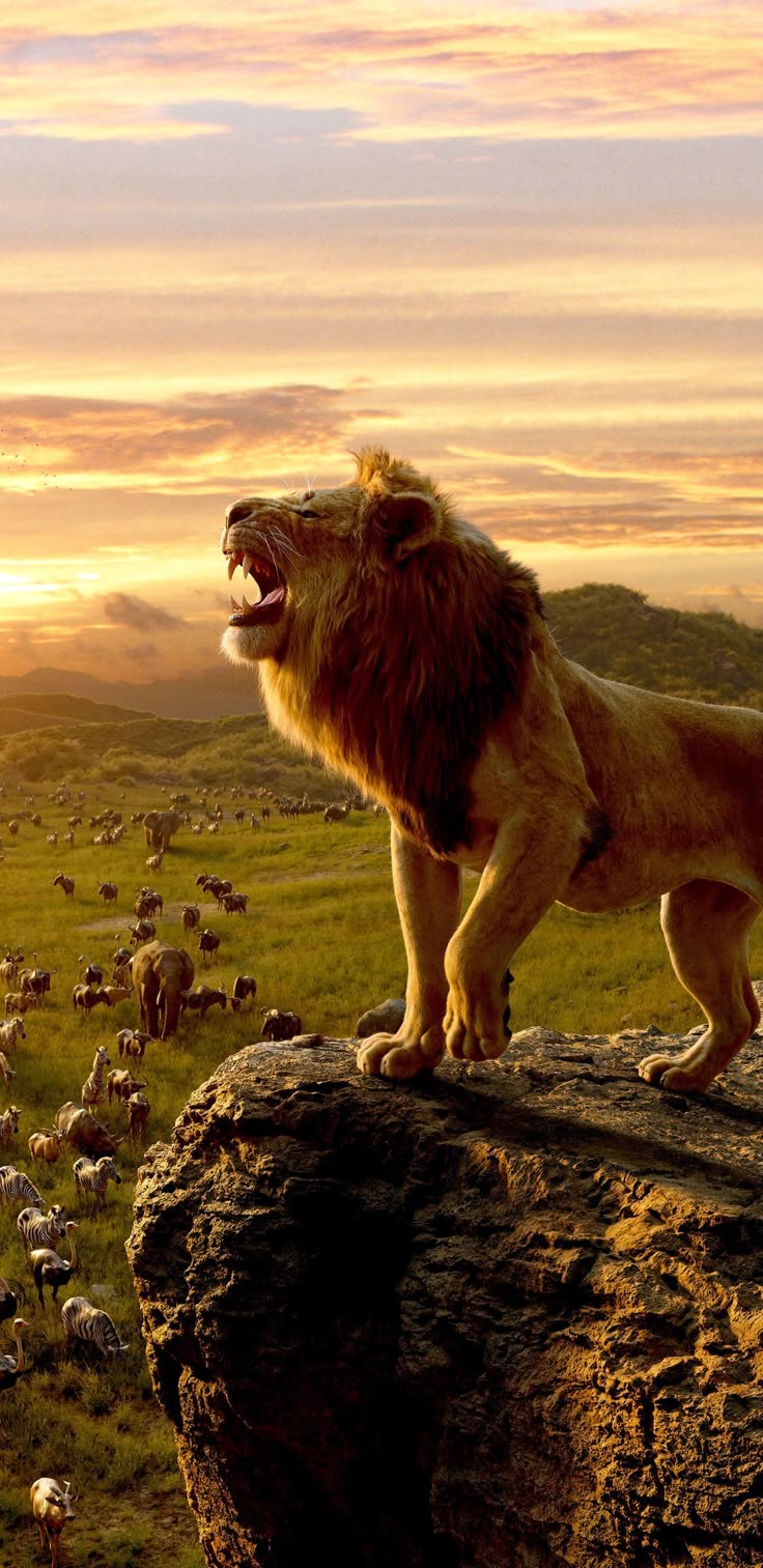 Lion Download Wallpapers