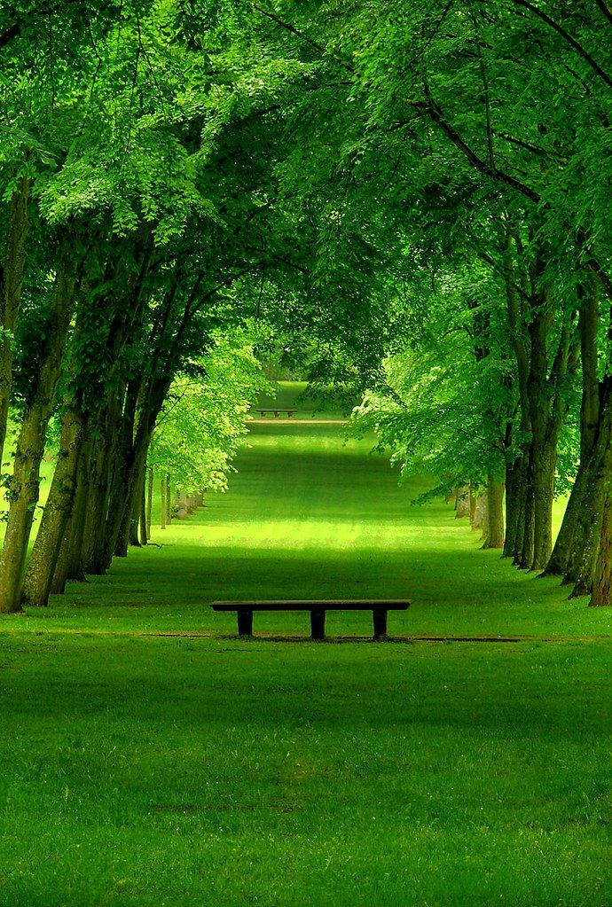Field Download Wallpapers