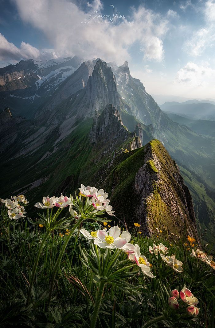 Mountain Download Wallpapers