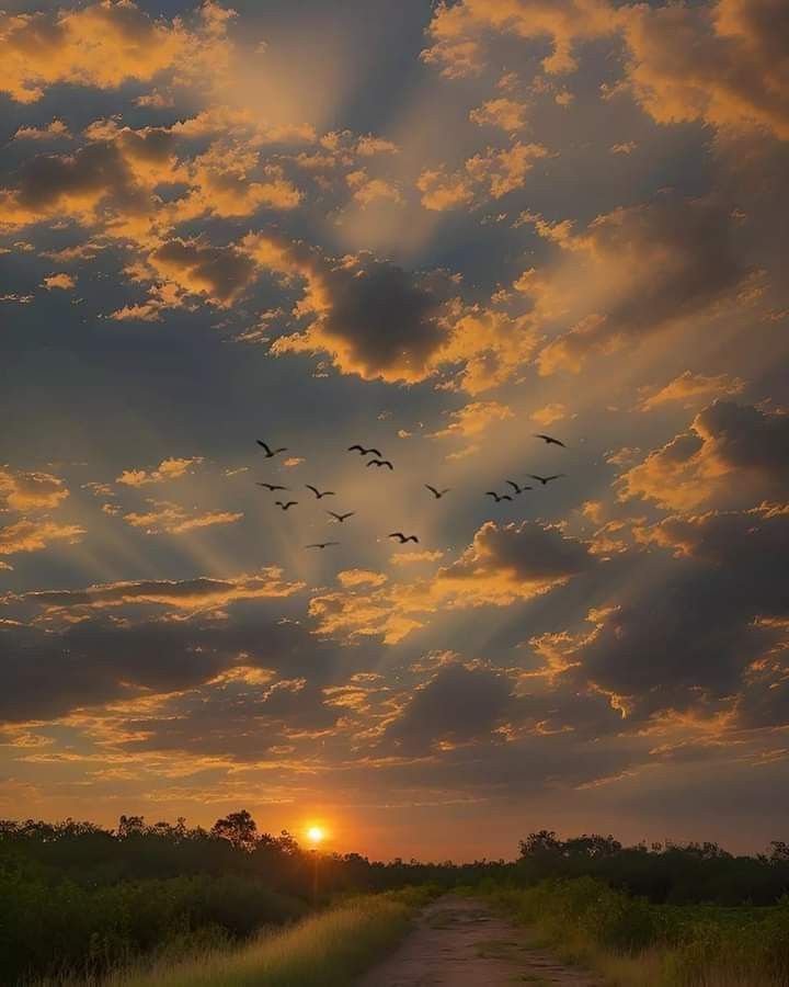 Sunset Download Wallpapers