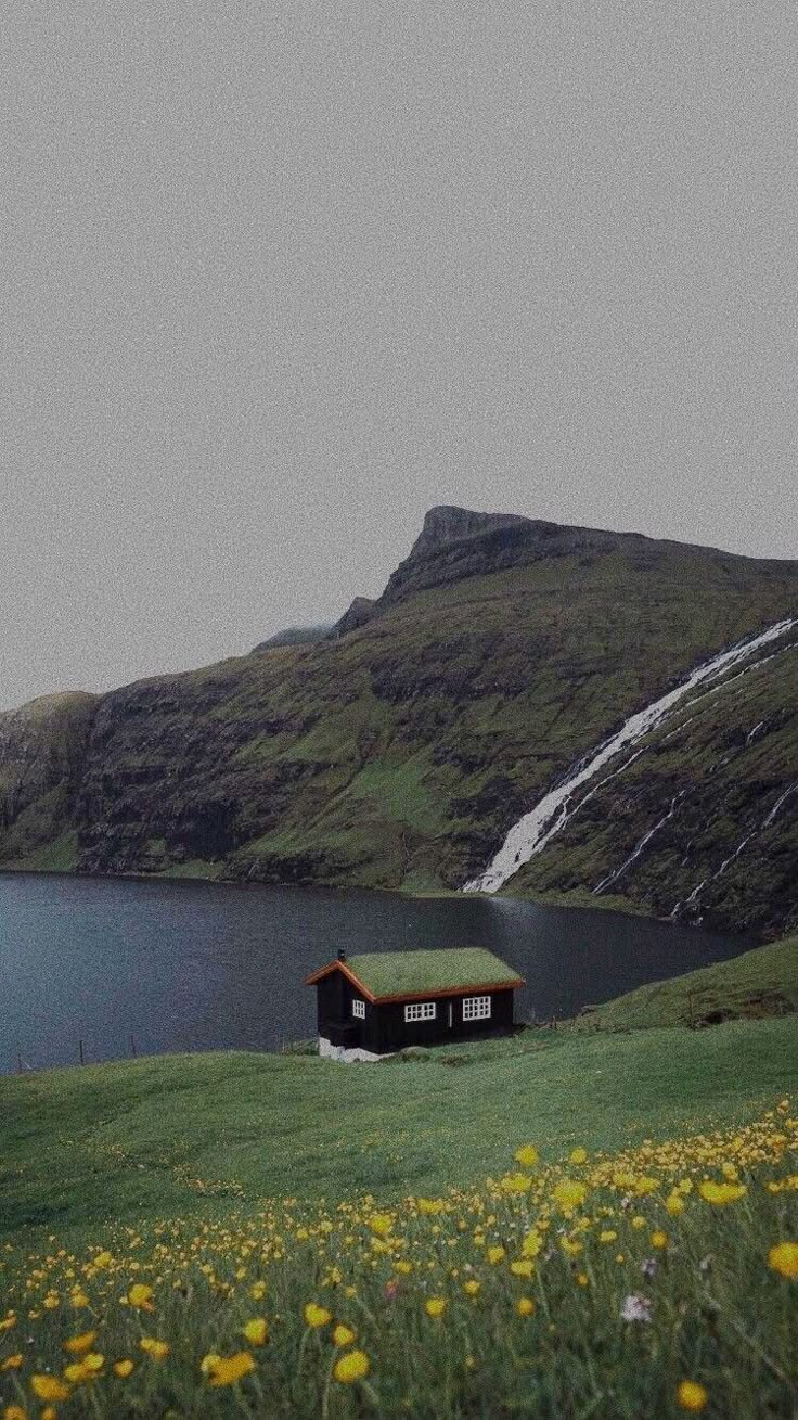 Cabin in the hills Download Wallpapers