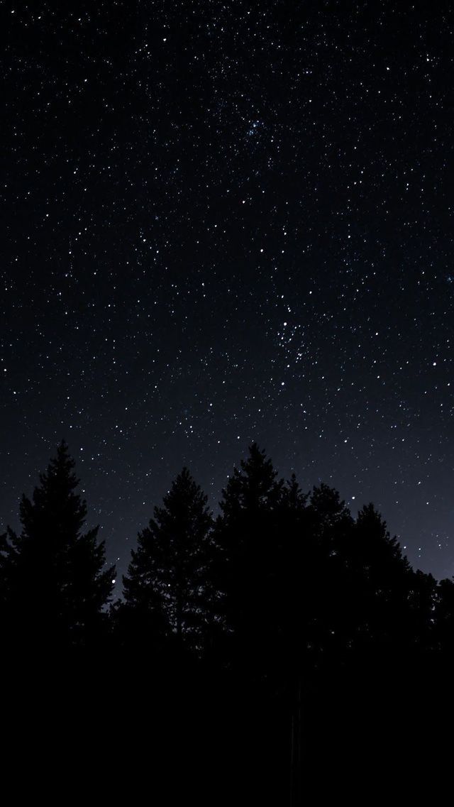View Download Wallpapers