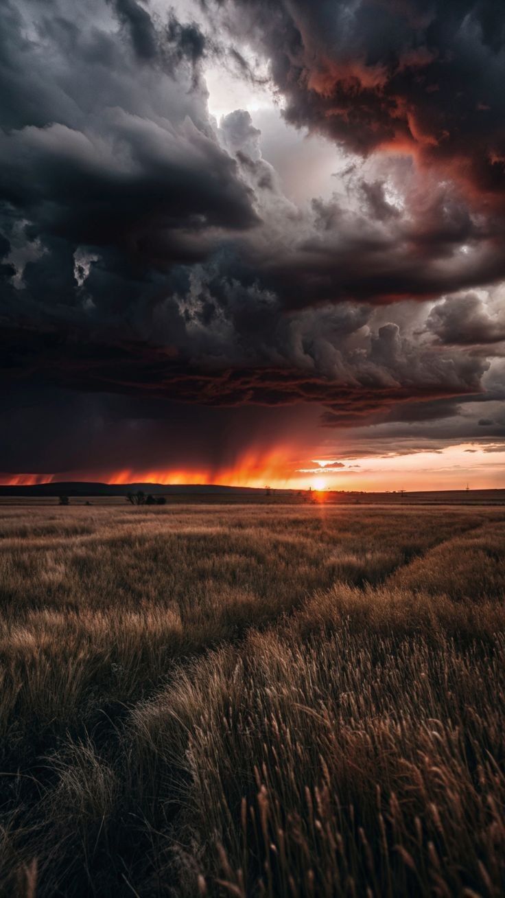 Sunset Download Wallpapers