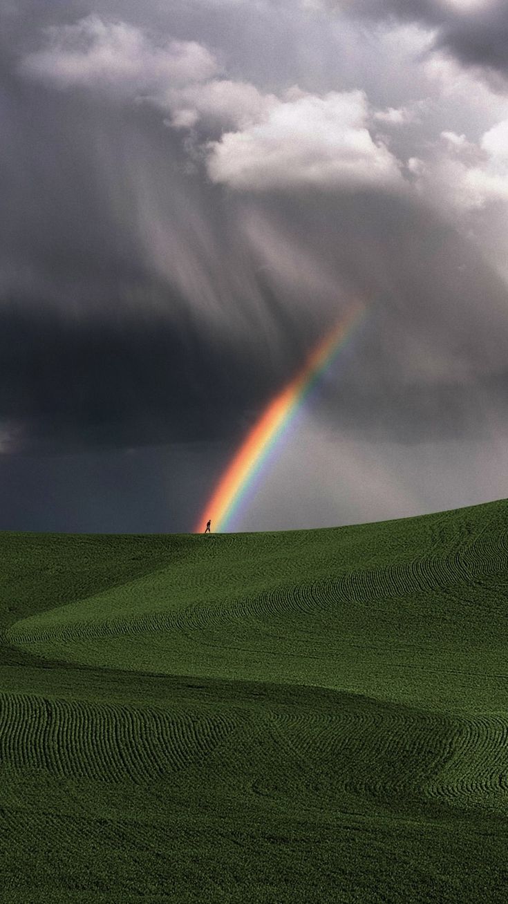Field Download Wallpapers