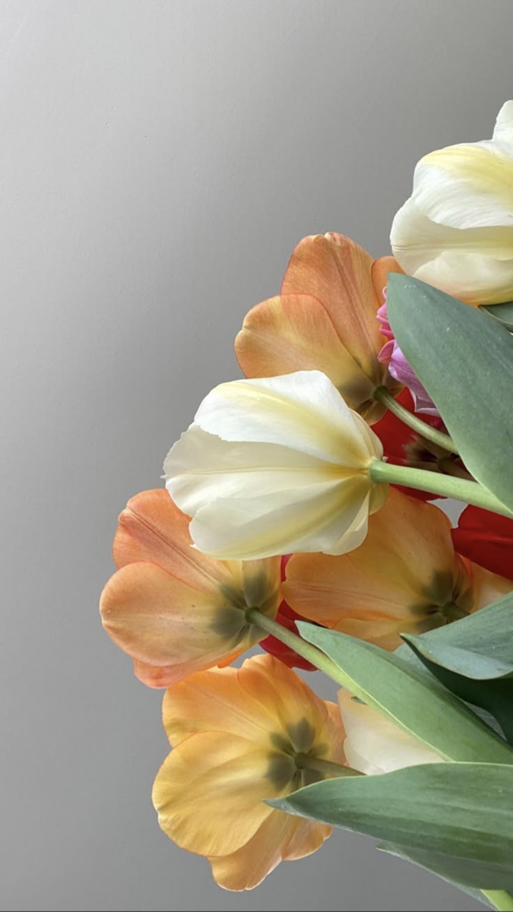 Flower Download Wallpapers