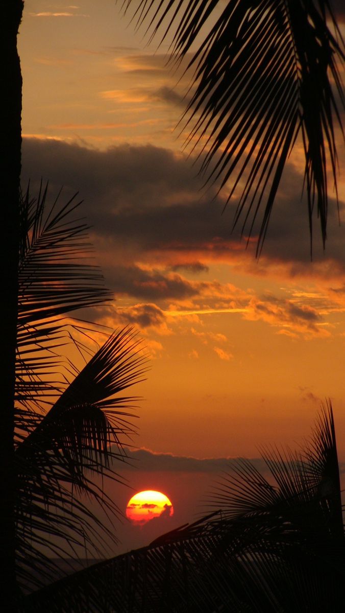 Sunset Download Wallpapers