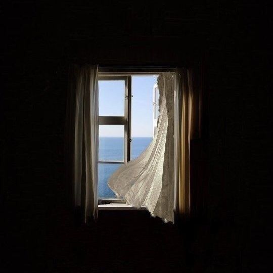 Window Download Wallpapers