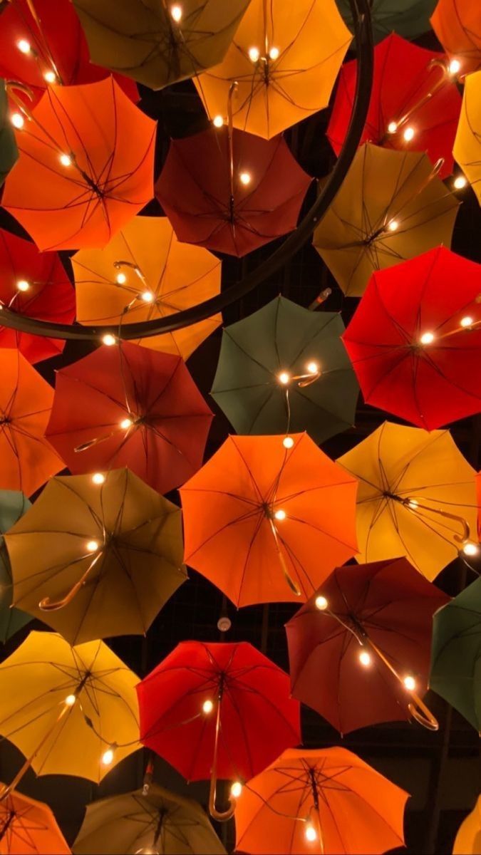 Flower Download Wallpapers