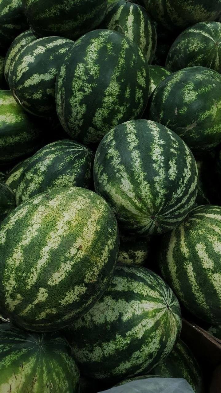 Watermelon Download Wallpapers