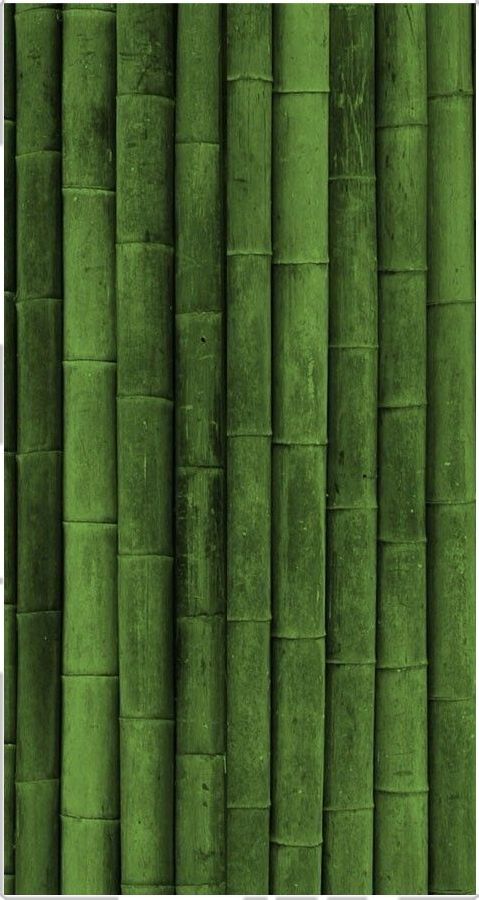 Bamboo Download Wallpapers