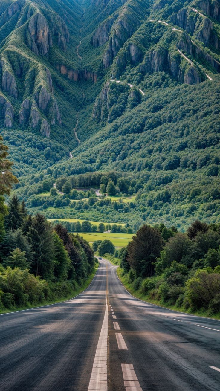 Wild Download Wallpapers