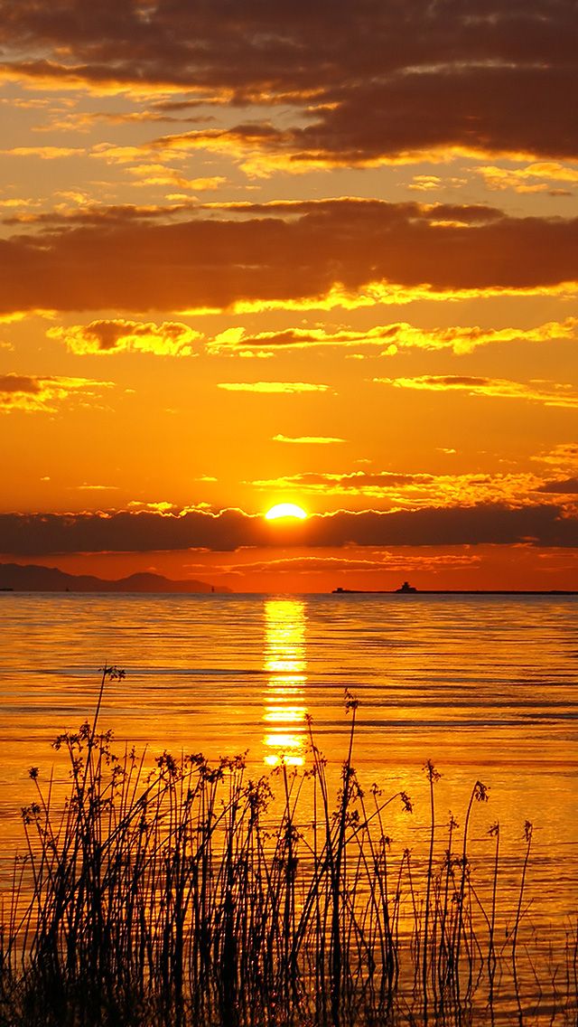 Sunset Download Wallpapers
