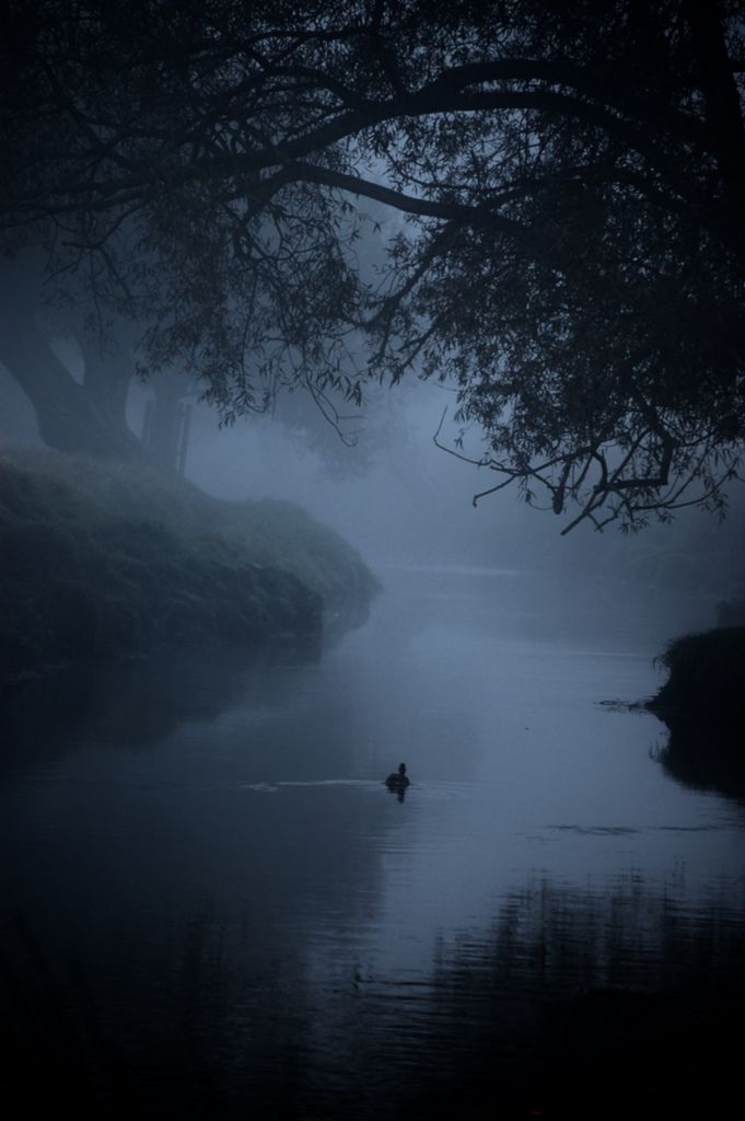 Night Download Wallpapers