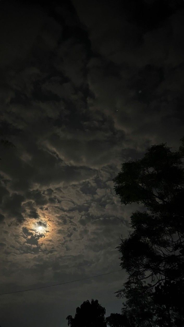 Night Download Wallpapers
