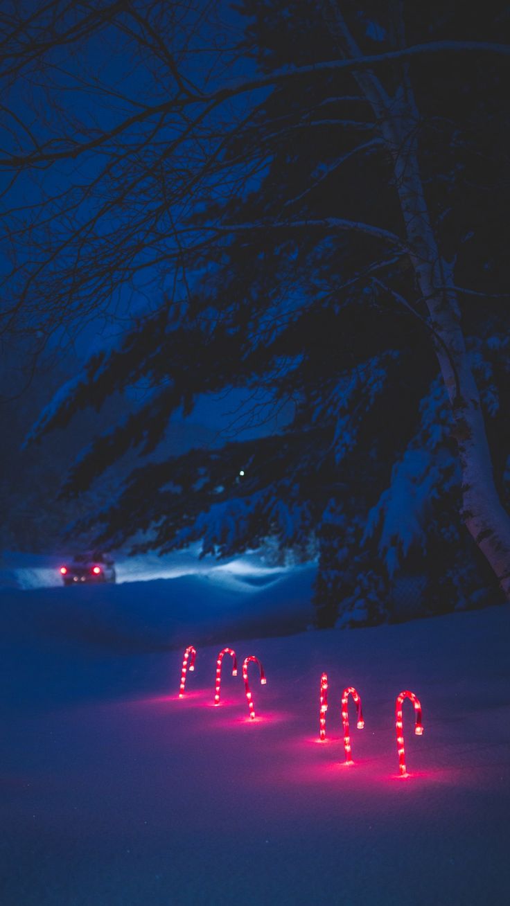 Winter Download Wallpapers