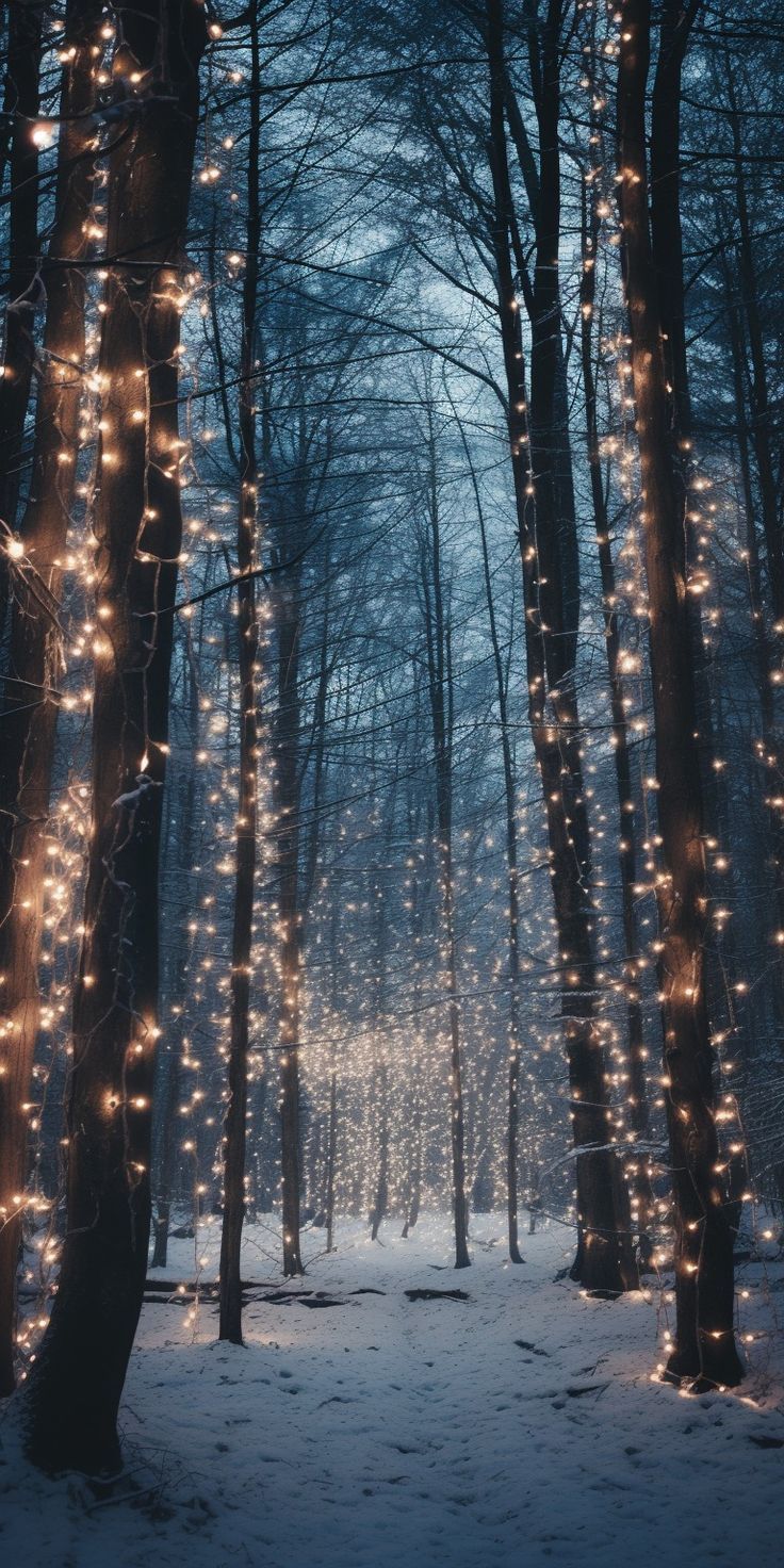 Winter Download Wallpapers