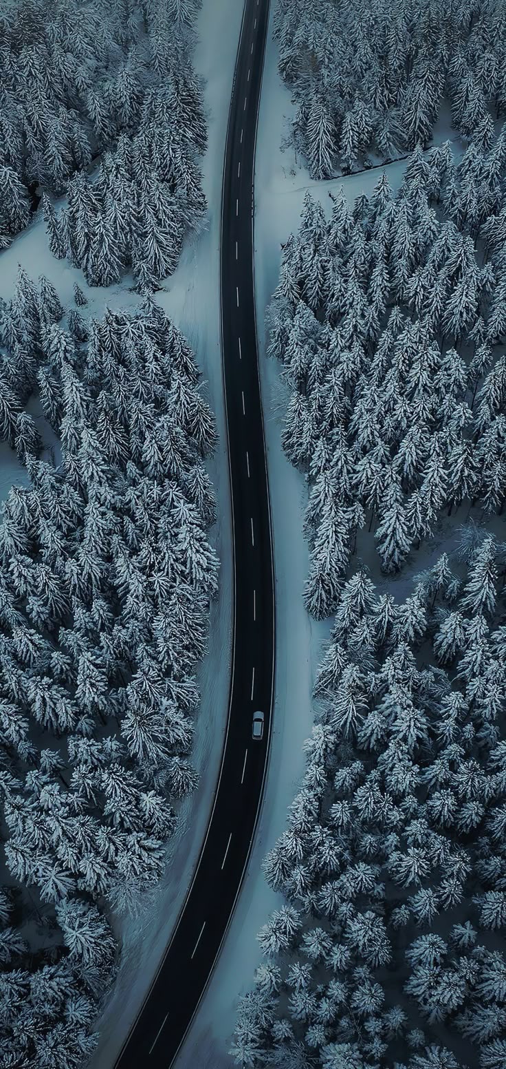 Winter Download Wallpapers