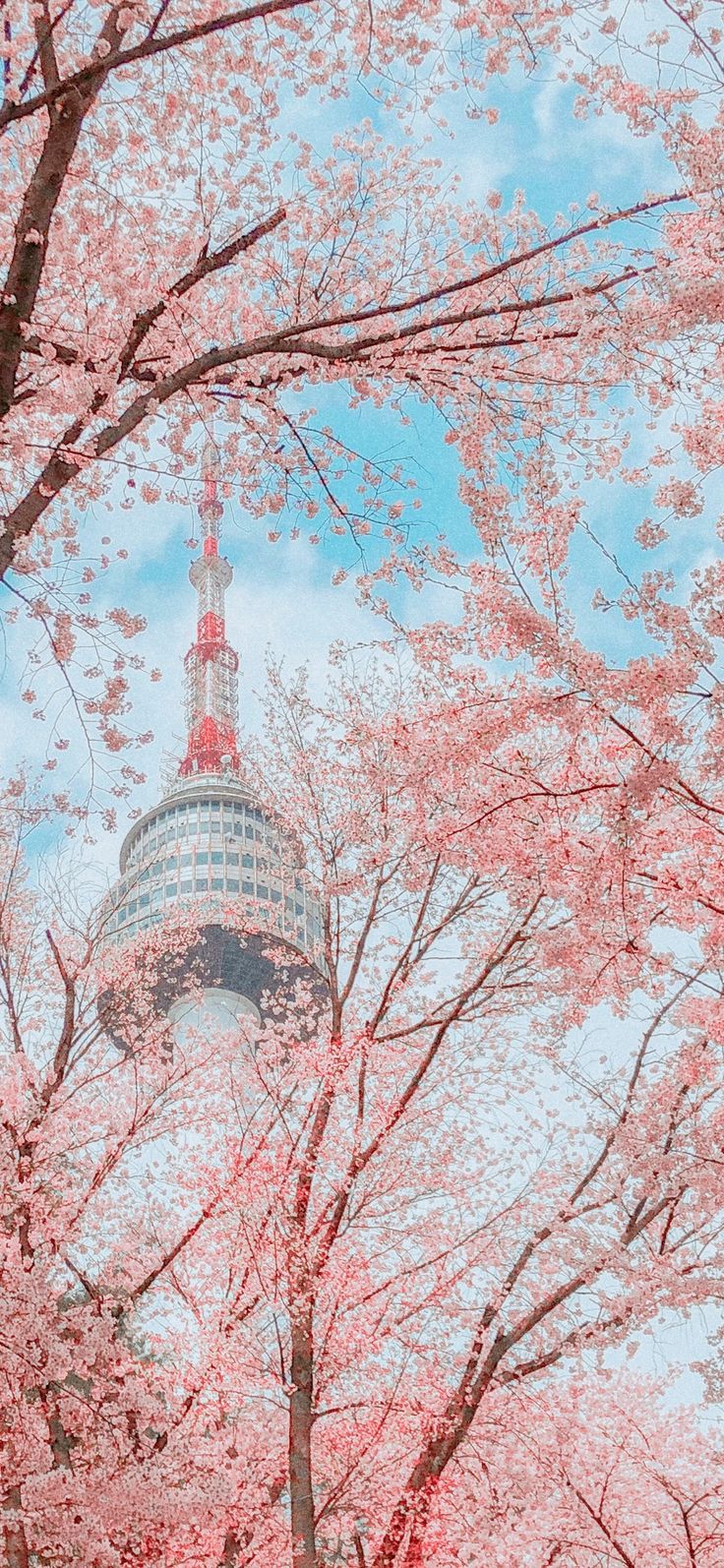 Korea Download Wallpapers