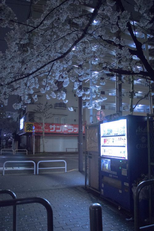 Japan Download Wallpapers