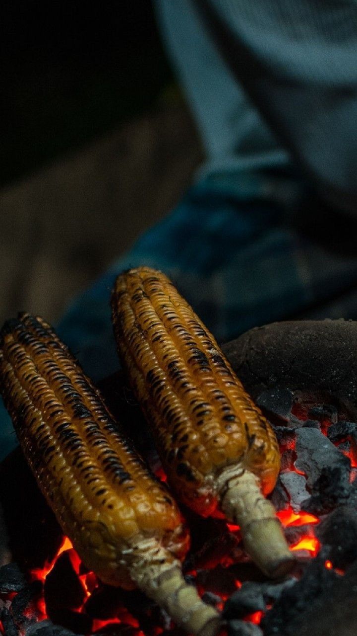 Roasted Corn Download Wallpapers