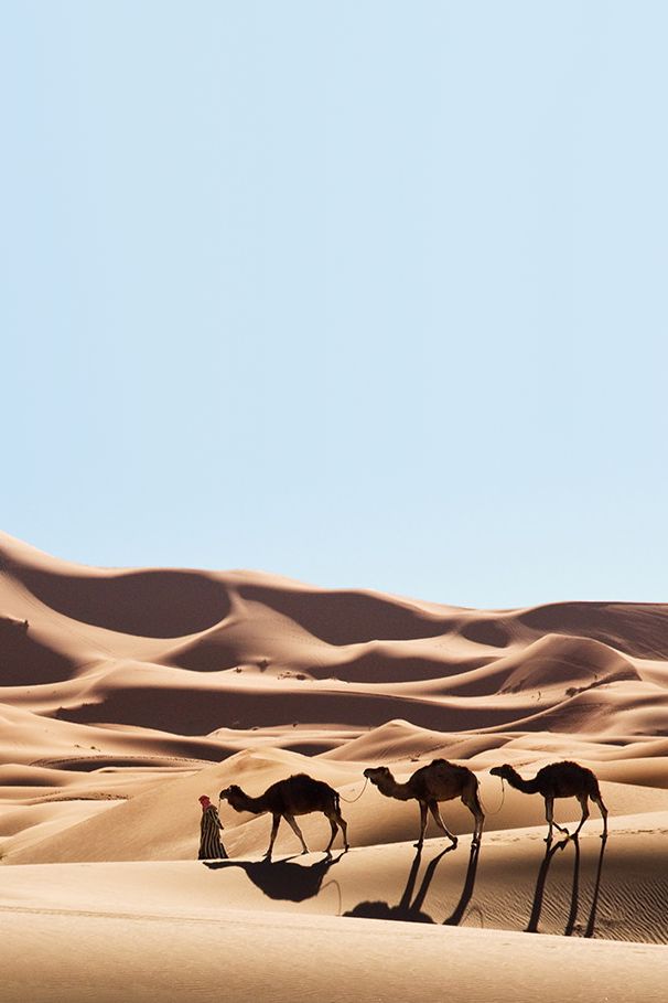 Africa Download Wallpapers