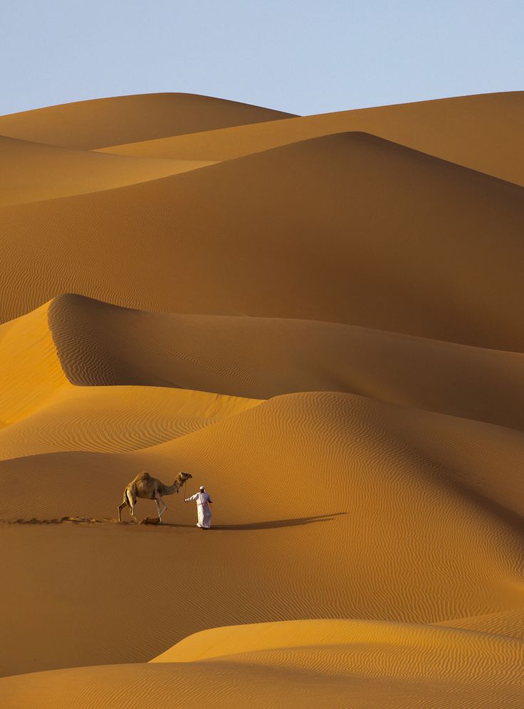 Desert Download Wallpapers