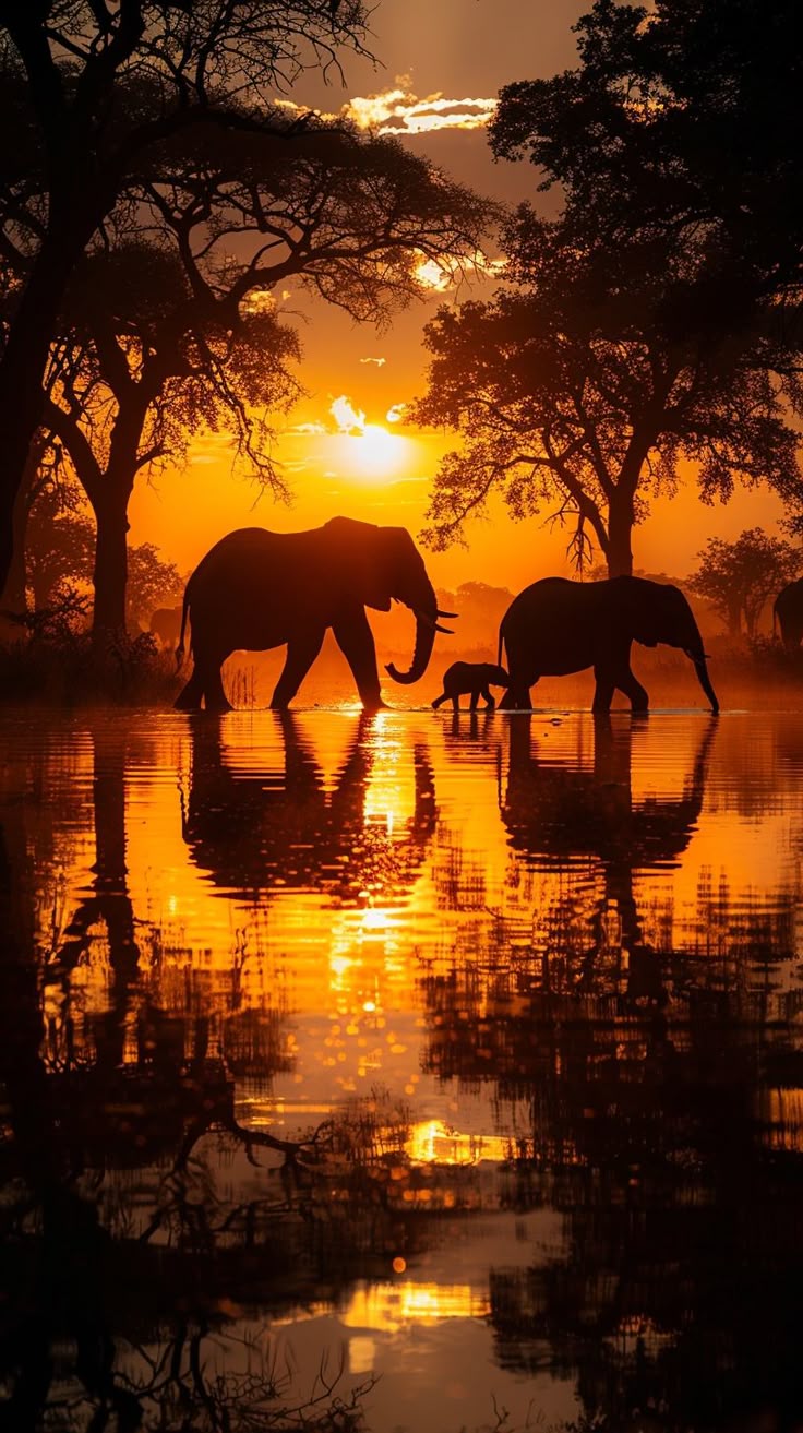 Africa Download Wallpapers