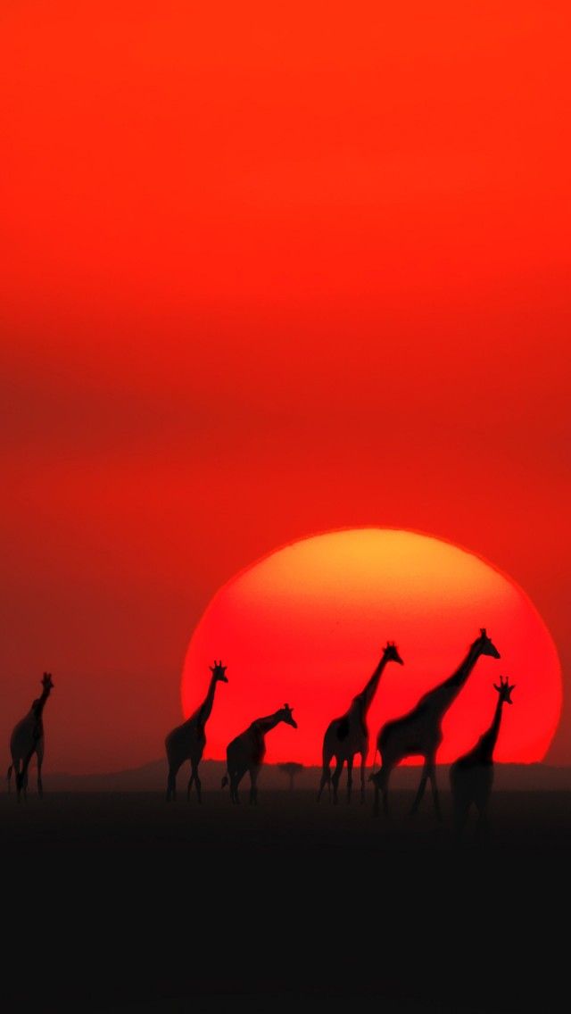 Africa Download Wallpapers