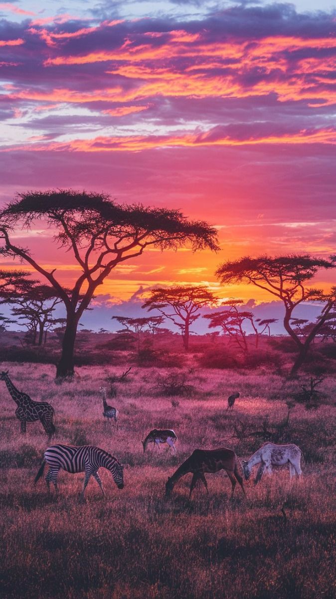 Africa Download Wallpapers