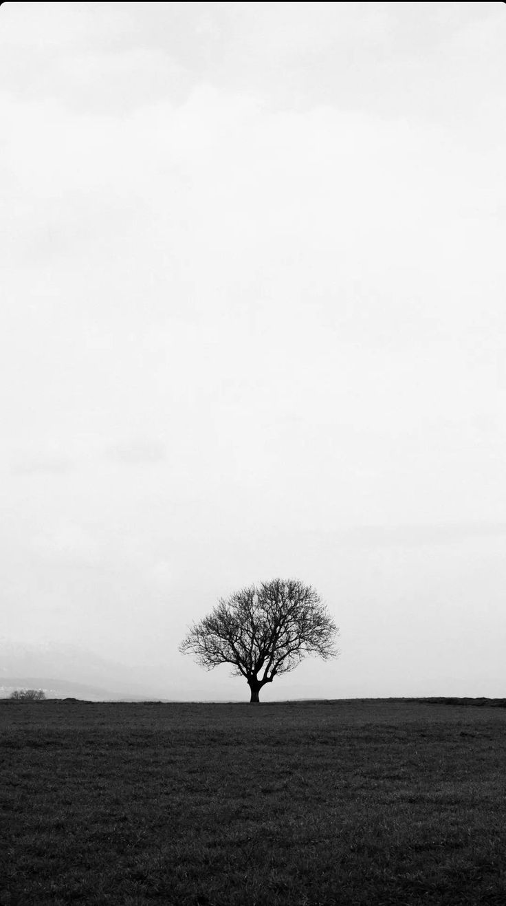 Tree Download Wallpapers