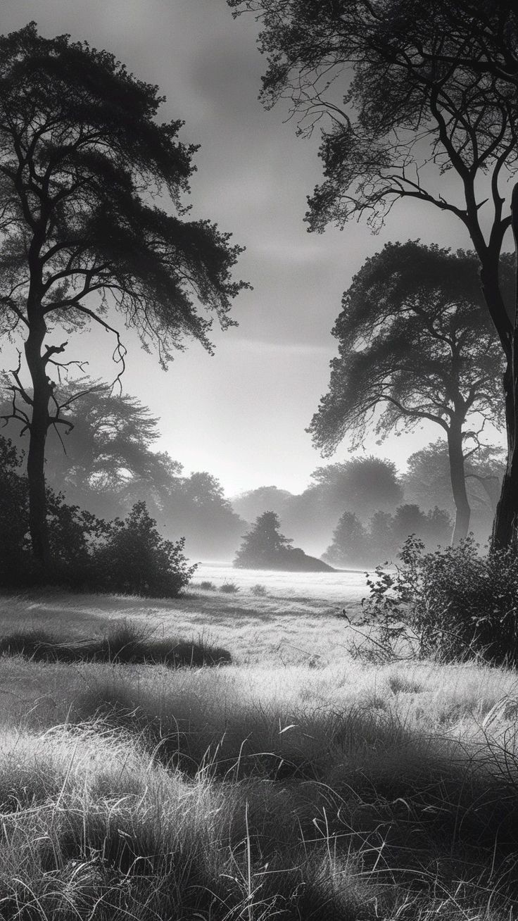 Trees Download Wallpapers