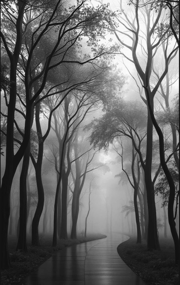 Woods Download Wallpapers