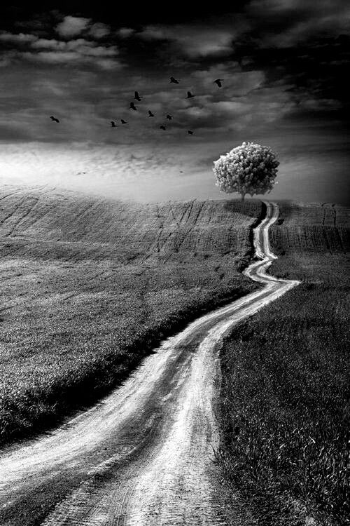 Road Download Wallpapers
