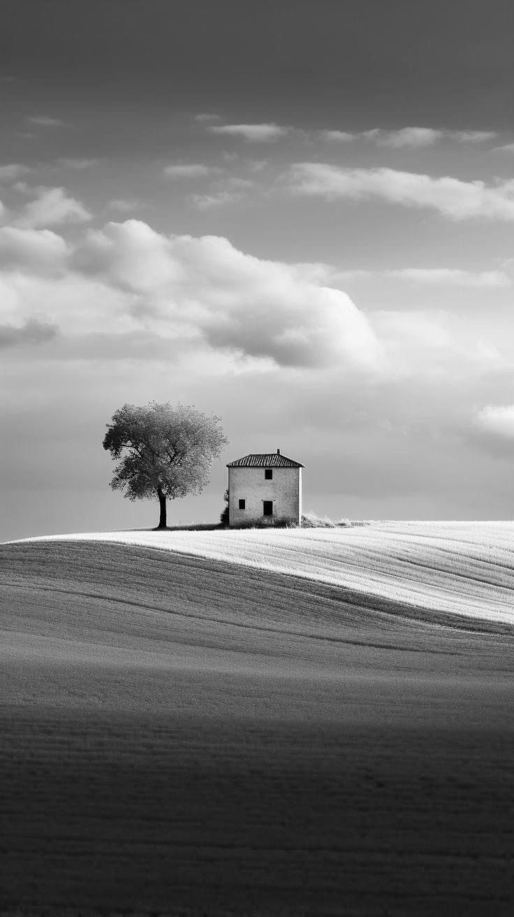 Cabin Download Wallpapers