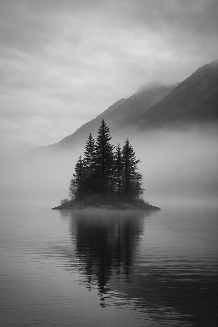Tree Download Wallpapers