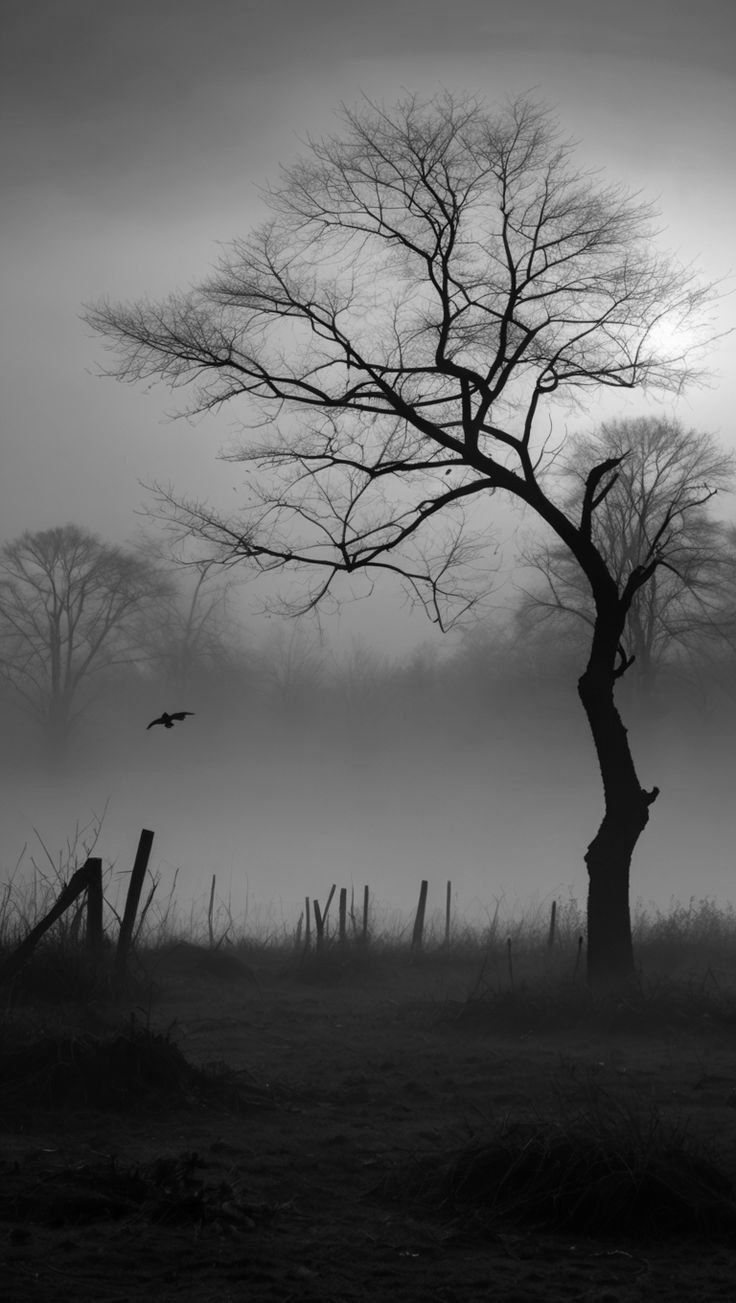 Tree Download Wallpapers