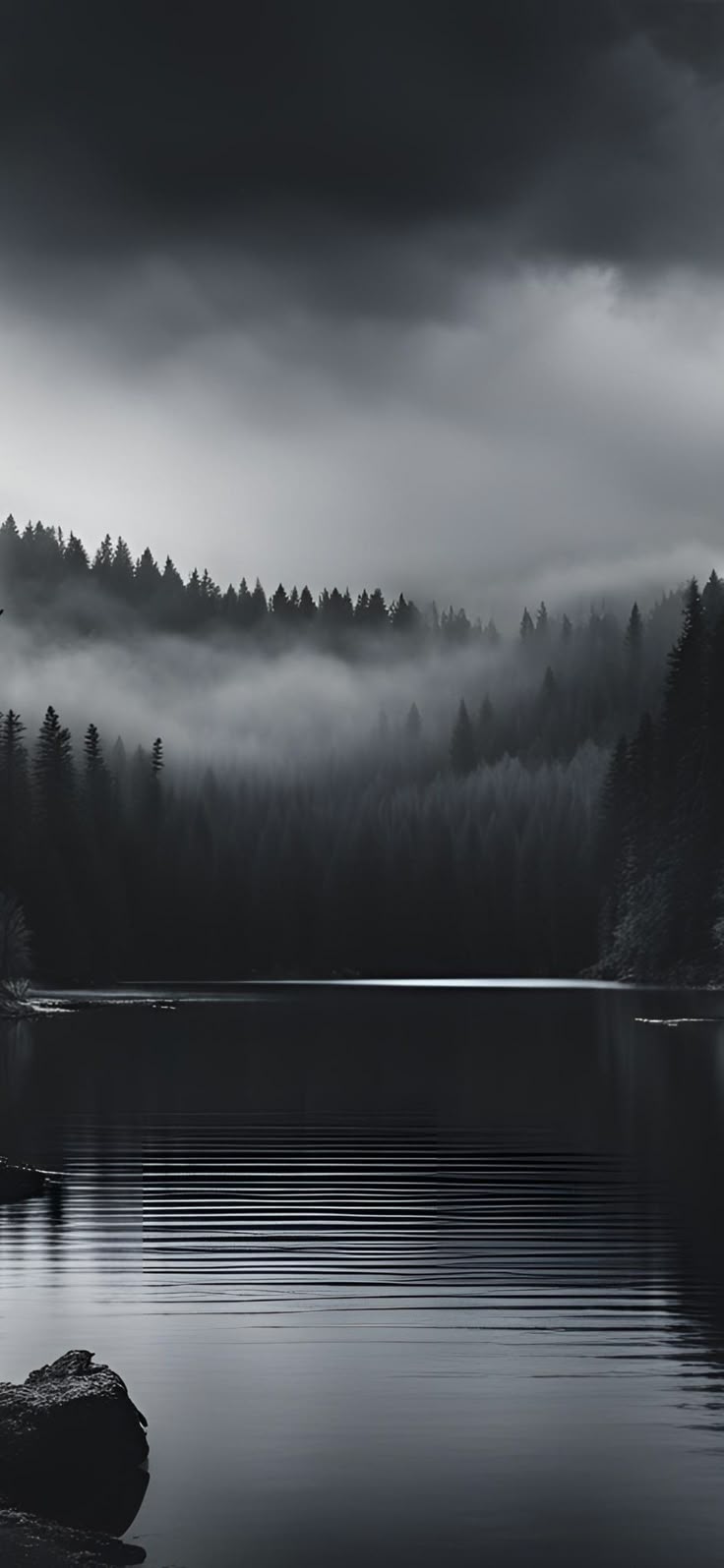 Woods Download Wallpapers