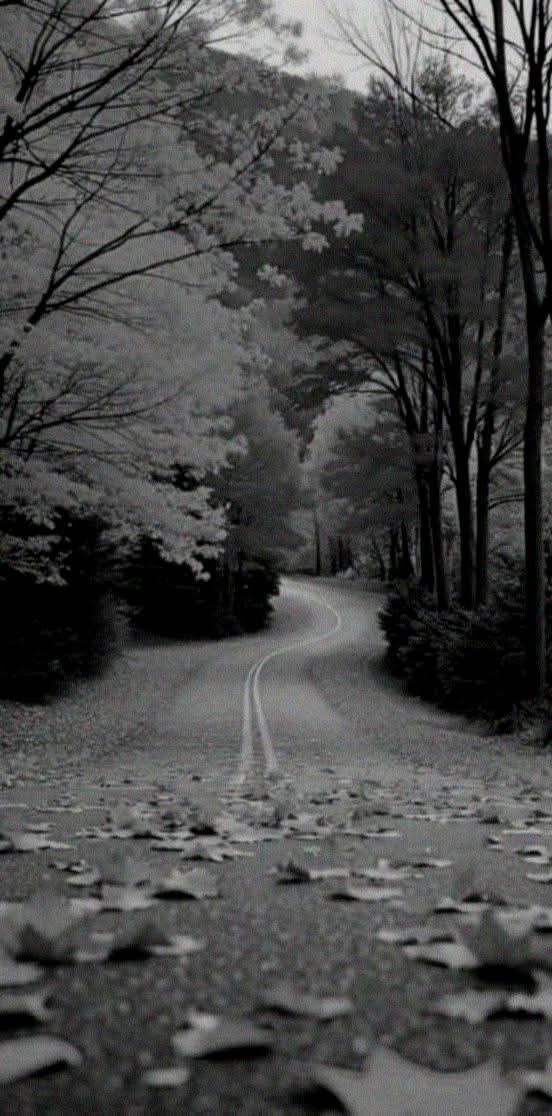 Road Download Wallpapers