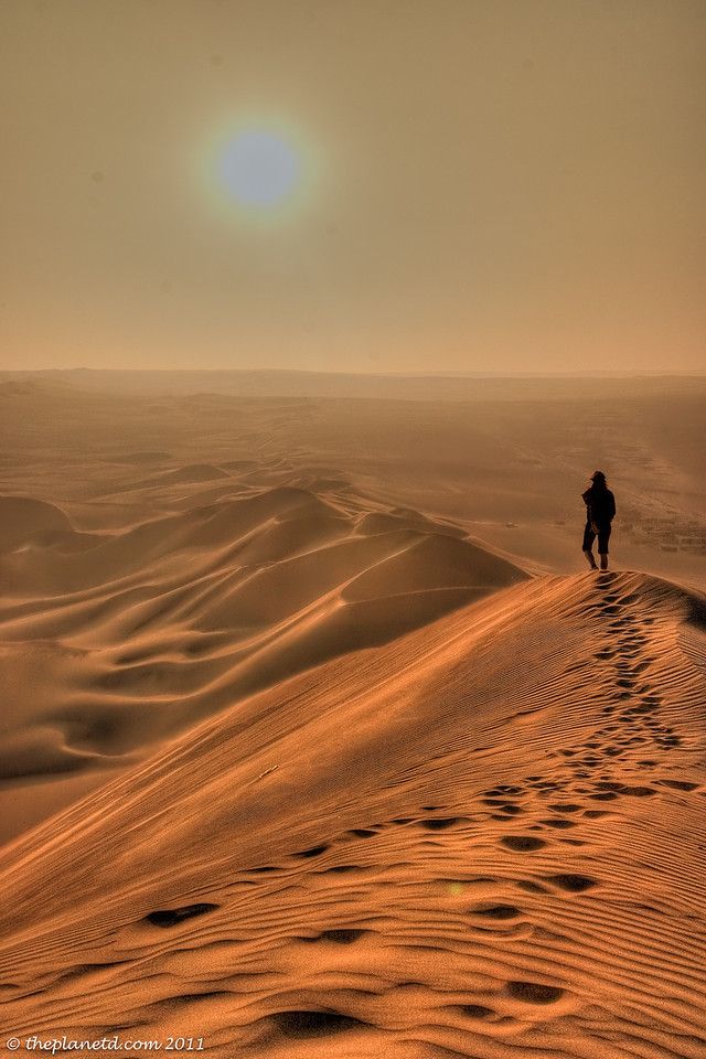 Desert Download Wallpapers