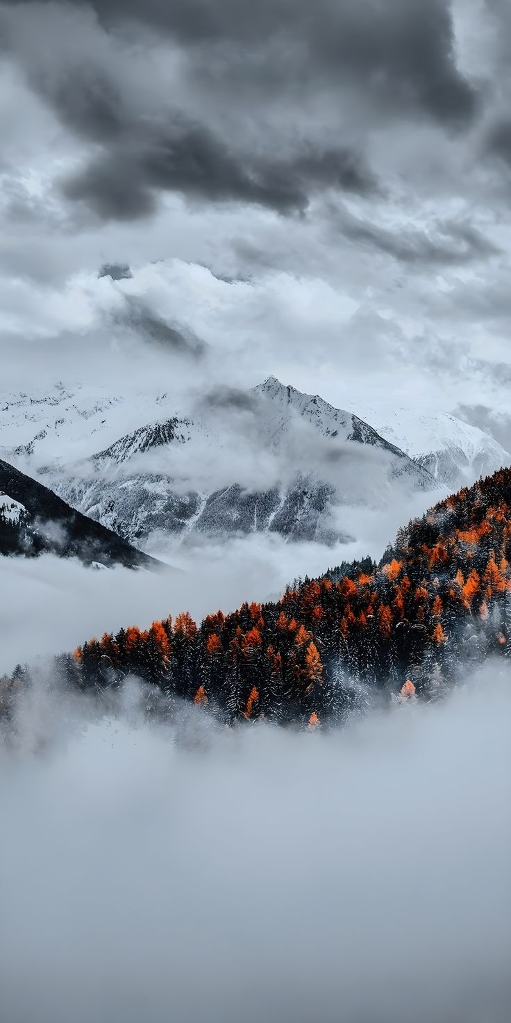 Winter Download Wallpapers