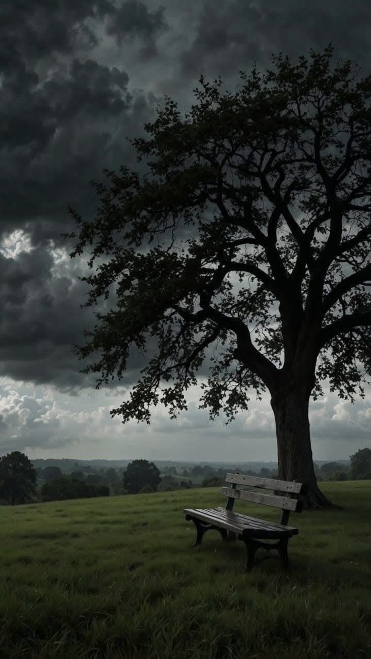 Tree Download Wallpapers