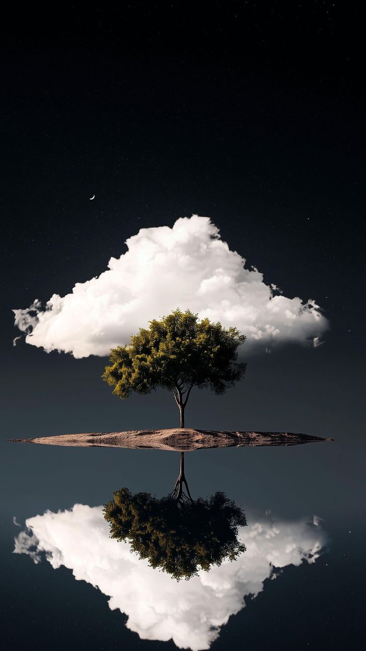 Tree Download Wallpapers