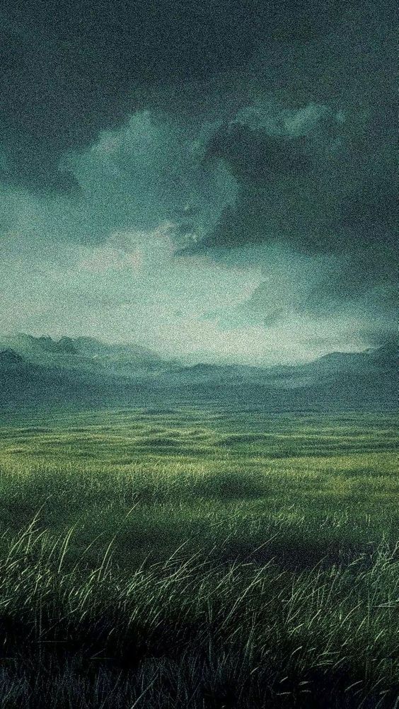 Grassland Download Wallpapers