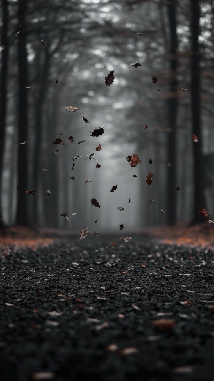 Leaf Download Wallpapers