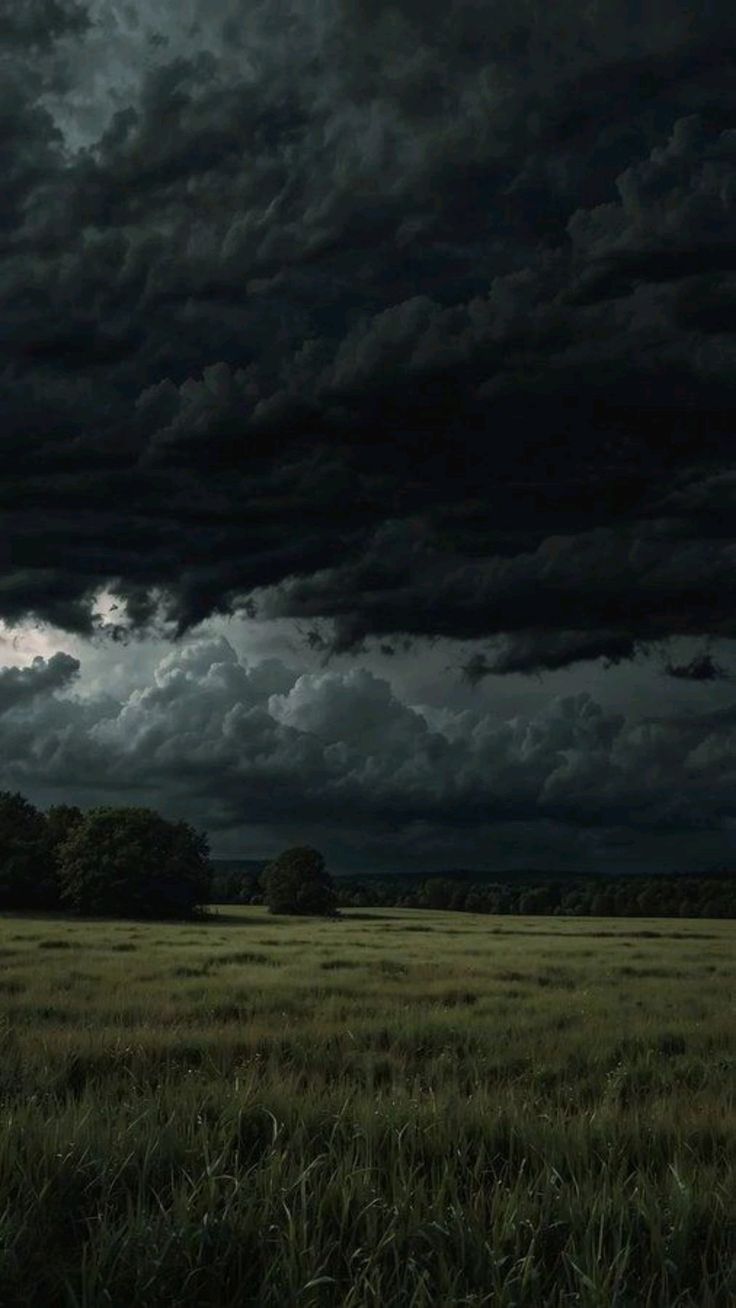 Field Download Wallpapers